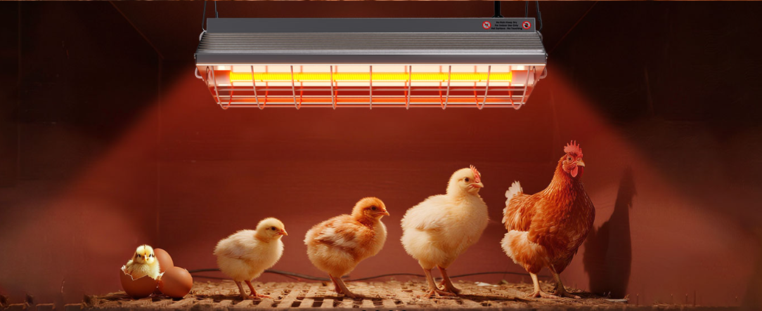 Industrial infrared heater for barns