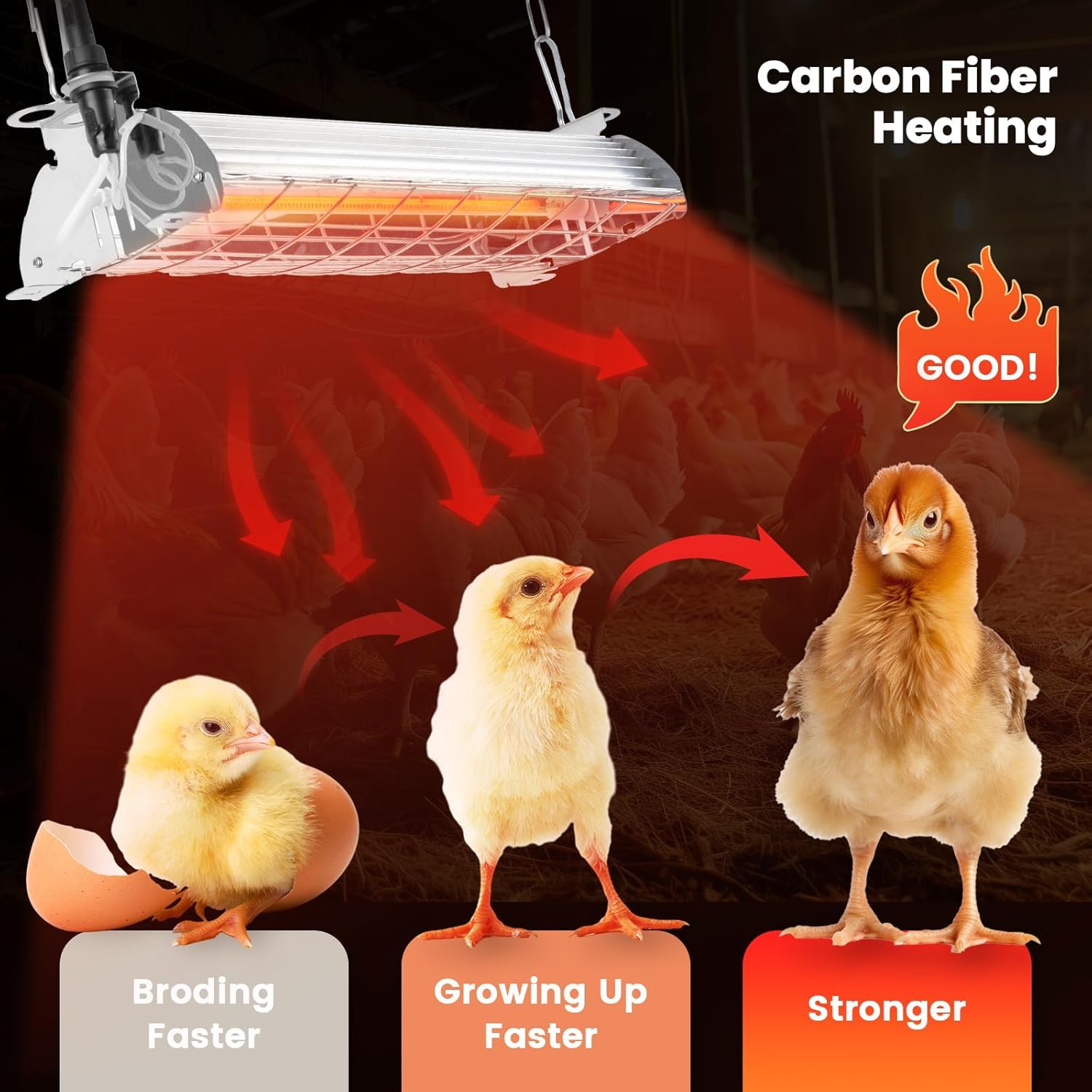 China supplier piglet heat lamp
